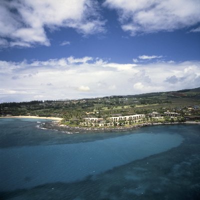Napili Point Resort