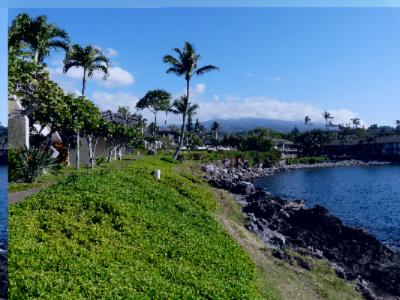 Napili Point Resort - Foothpath Honokeana Cove West Maui Mtns.