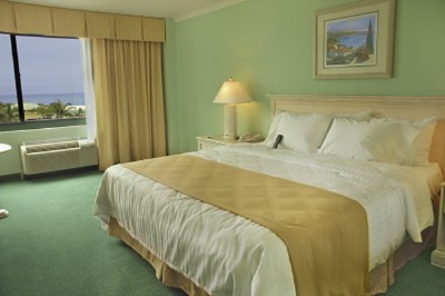 King Guest Room
