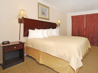 Quality Inn & Suites - King Bed