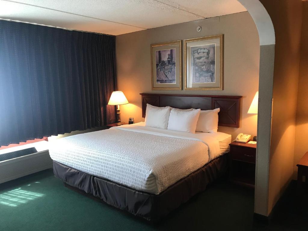 Clarion Hotel Oneonta - King Guestroom