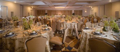 Crowne Plaza Hotels - Ballroom
