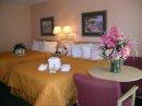 Comfort Inn - Room With 2 Double Beds
