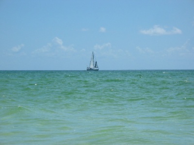 Sleep Inn Sarasota Airport - Oceanview From Sarasota
