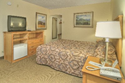 Campus Inn & Suites - Standard Queen