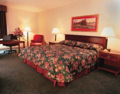 Our Guest Rooms