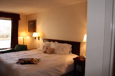 Hampton Inn Mcdonough - 