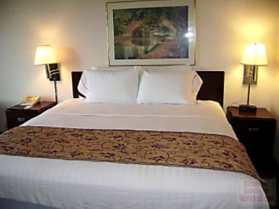 A Single King-sized Bed All To Your Heart's Comfort