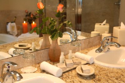 Guest Suite Bathroom