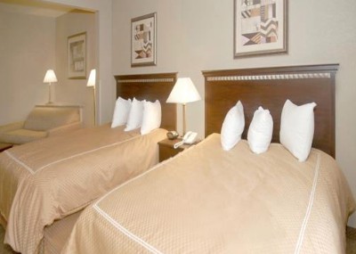 Comfort Suites Seaford - Two Queens Suites