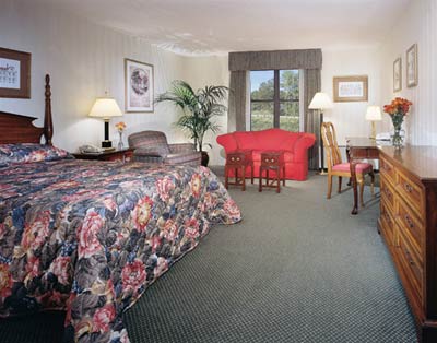 Deluxe Guest Room
