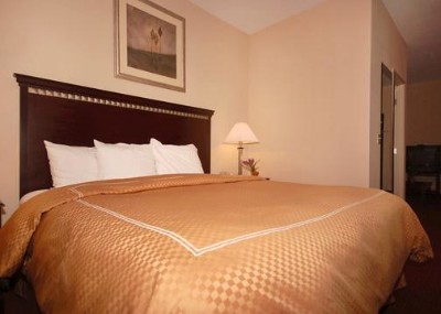 Comfort Suites Hotel - King Suite