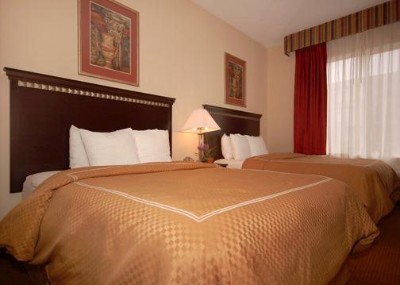Comfort Suites Hotel - Queen Suite