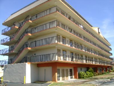 Back View