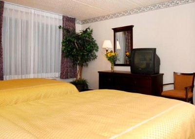 Comfort Suites Austin Airport - Guest Room With Queen Beds