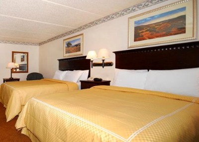 Comfort Suites Austin Airport - Guest Room With Queen Beds