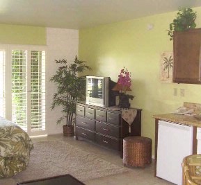 Shadow Mountain Resort & Club - Studio