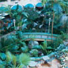 Embassy Suites / Miami International Airport - Tropical Indoor Atrium