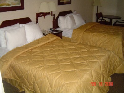 Comfort Inn - 