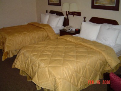 Comfort Inn - 