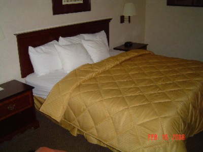 Comfort Inn - 