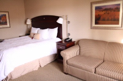 Hampton Inn & Suites Air Force Academy - Stardard King With Sofa Sleeper