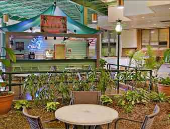 Tiki Bar