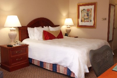 Hilton Garden Inn Detroit Metro Airport - King Room