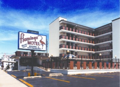 Flamingo Motel - 