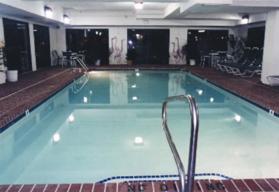 Flamingo Motel - 