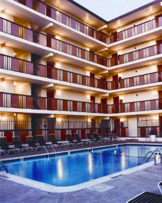 Flamingo Motel - 