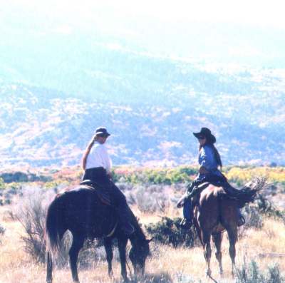 Wind Walker Guest Ranch - Enjoy scenic rides.