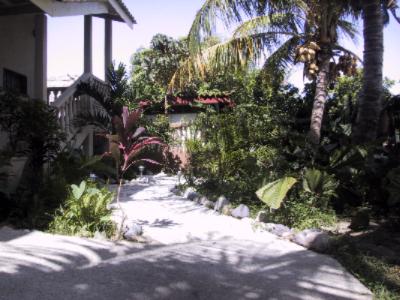 Entrance To Diving Pelican Inn