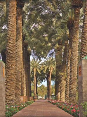Hyatt Regency Scottsdale Resort & Spa at Gainey - Palm Walkway