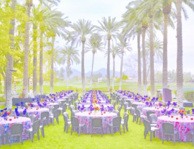 Hyatt Regency Scottsdale Resort & Spa at Gainey - Palm Grove