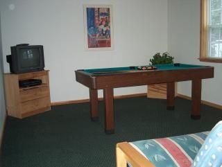 Ponderosa House - Billiard Room With Tv And Futon.