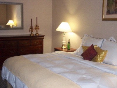 Ramada Inn Overland Park - 