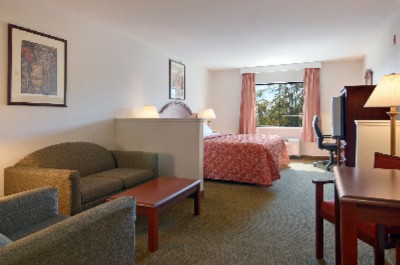Standard Suite