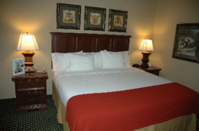 Holiday Inn Express Hotel & Suites at Bass Pro - King Room