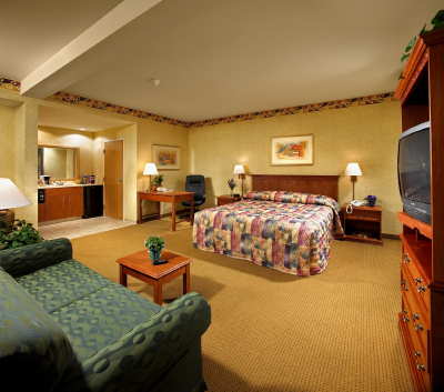 Standard King Suite