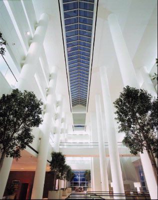 Schaumburg Renaissance - Look Up And Enjoy The Sky View From Our M.i. Greatroom Atrium.