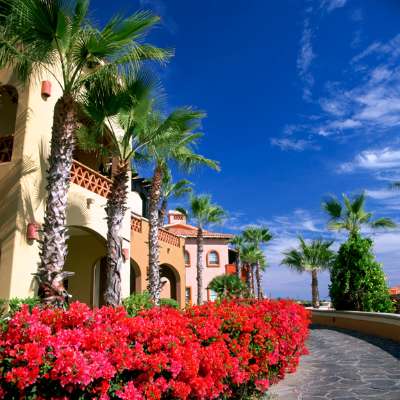 Sheraton Hacienda Del Mar - Yards