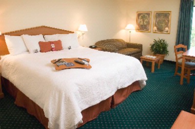 Hampton Inn Pensacola Airport - King Size Bed With Sleeper Sofa