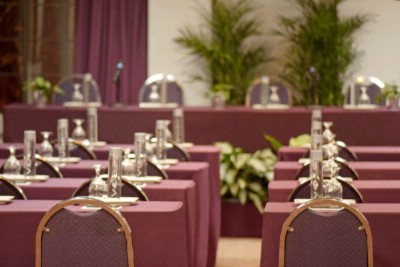 Carlyle Suites Hotel - Meeting Space