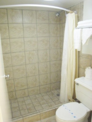 Dandelion Inn - Bathroom