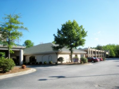 Dandelion Inn - You Have Arrived.
