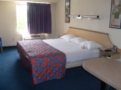 Red Roof Inn Westchase - 