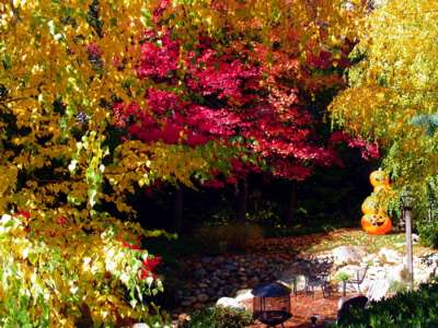 Outside Inn - 