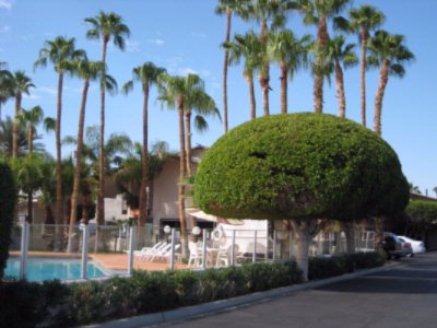Yuma Palms Inn - 