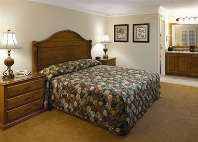 Sea Palms Inn - 